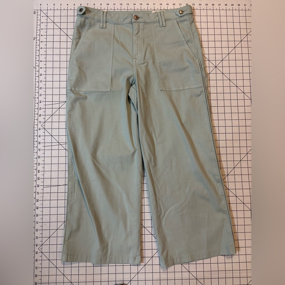 NWT Cosmic Blue Love by Pistola Women’s Size 31 Wide Leg Pants‎